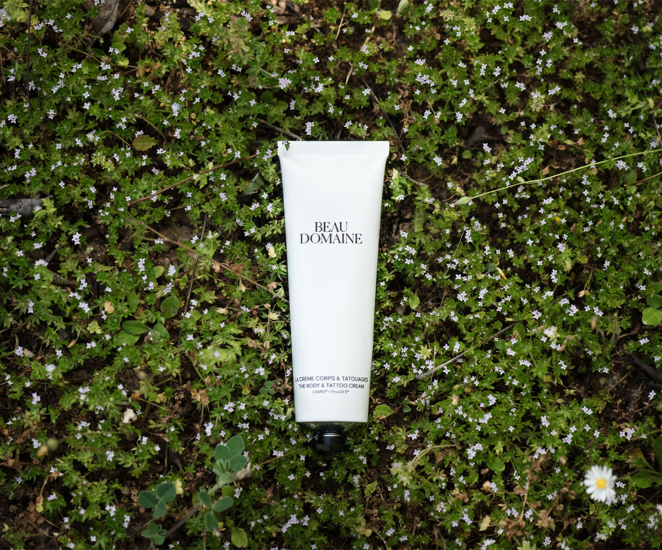 Morning and night skincare routine inspired by Provence